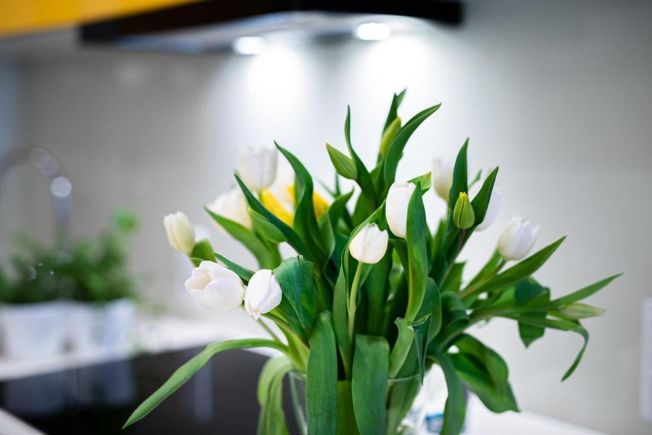 Apartamenty Tespis - Francuska Atal Park II Katowice Buitenkant foto